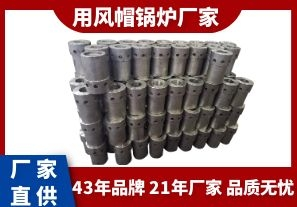 用風(fēng)帽鍋爐廠家-質(zhì)優(yōu)的品質(zhì)從品牌入手[江河]